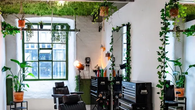 The studio: plants, tall windows and two chairs