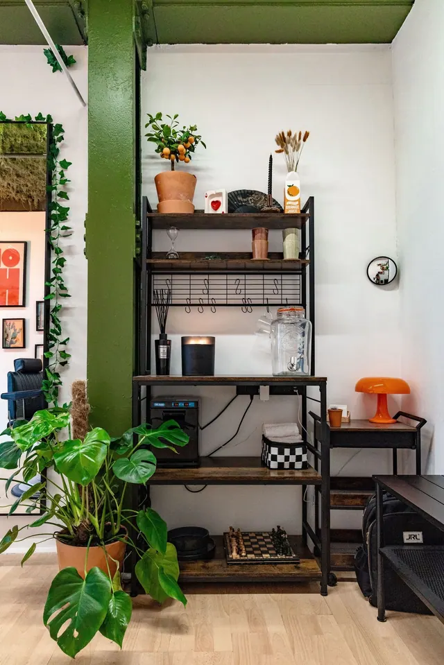 Shelves and plants in the studio